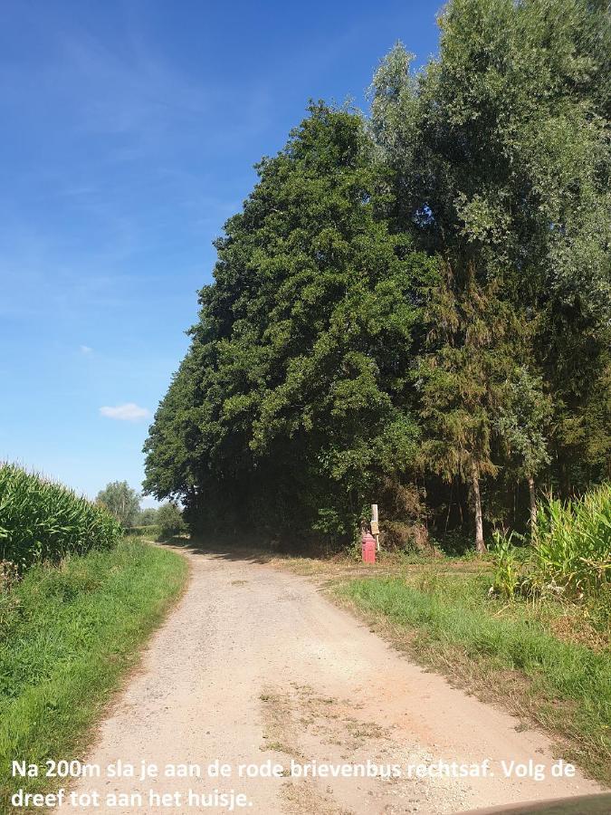 Eden Villa Sint-Pauwels Buitenkant foto